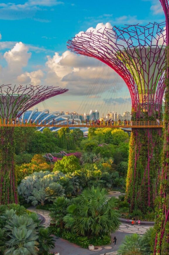 skytrees at gardens by the bay in singapore