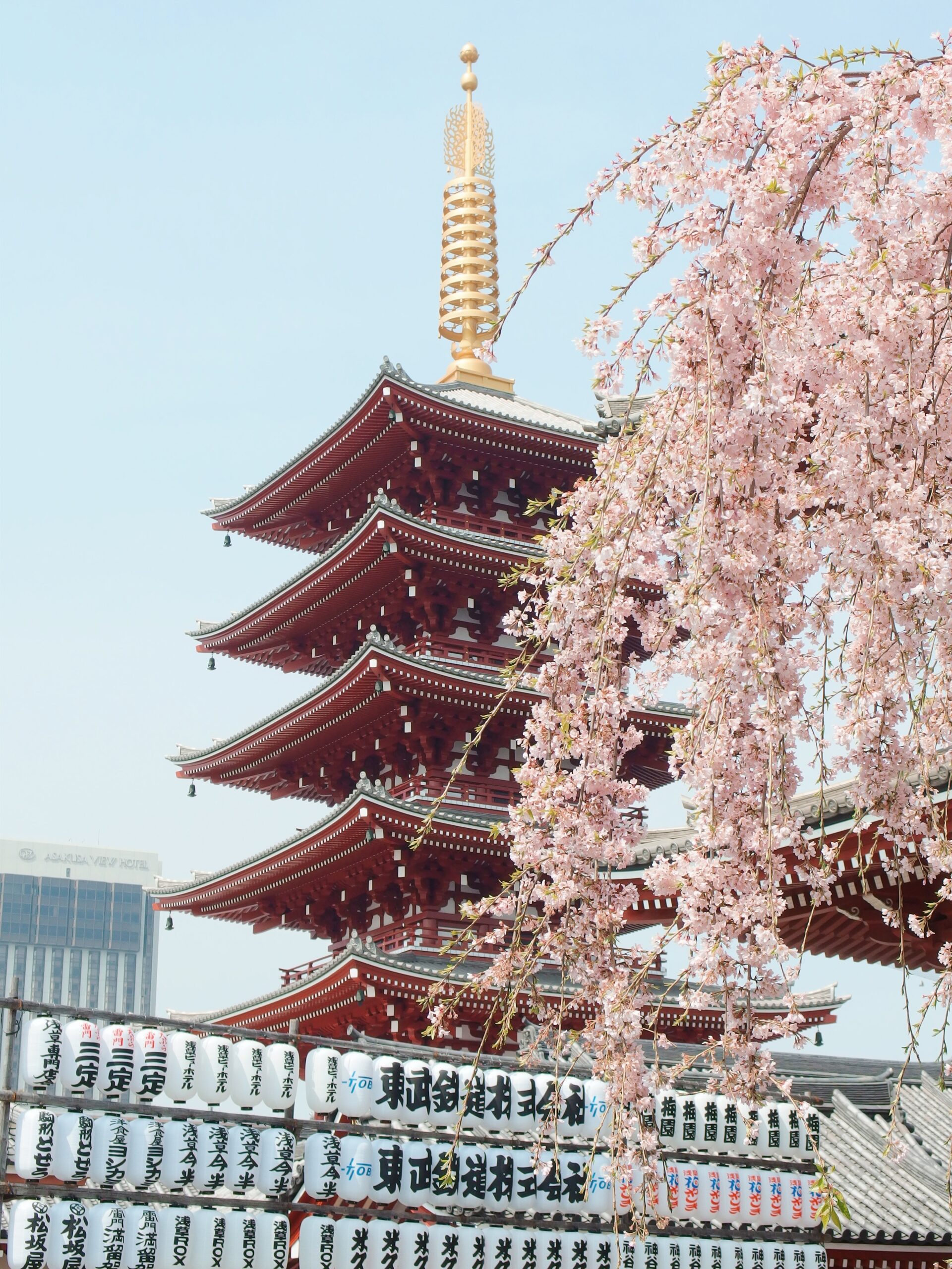 2 week Japan itinerary and travel guide