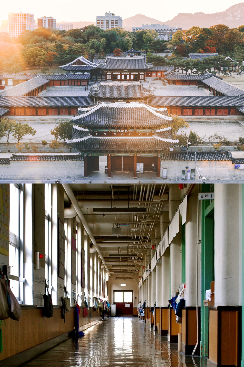 EPIK Program Review: Pros and cons of teaching English at a public school in Korea