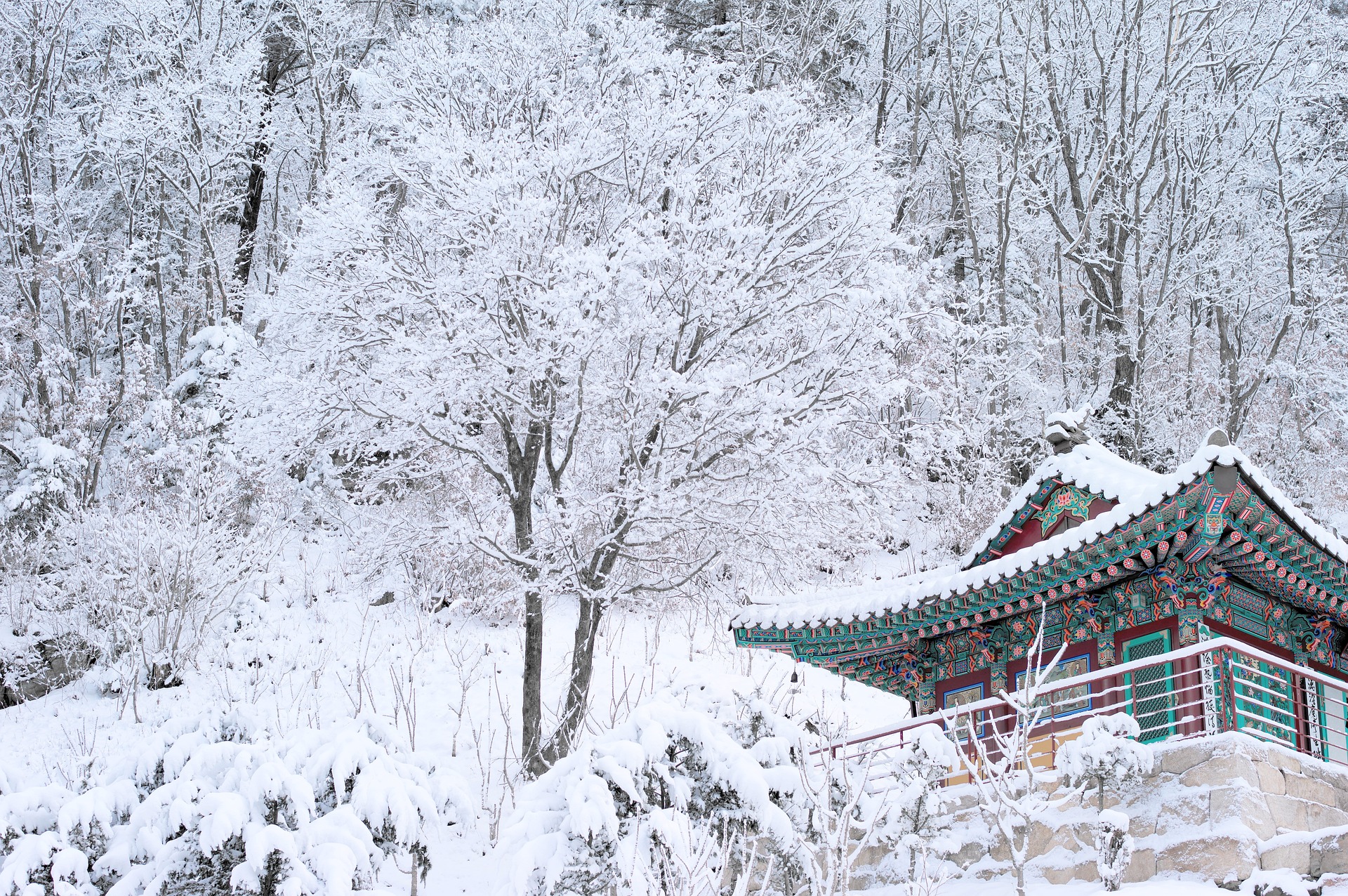 25 best things to do in winter in Korea