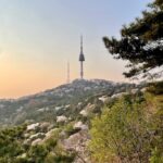 22 best things to do in summer in Korea 2026