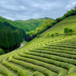 10 best day trips from Busan