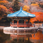 How to become an English teacher in South Korea (2026)