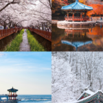 Best things to do in Jeonju, South Korea